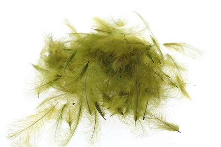 Du tilføjede <b><u>Wählen Sie CDC 1 Gramm – Golden Olive</u></b> til kurven.