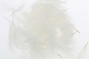 Select Cdc 1 gram - White
