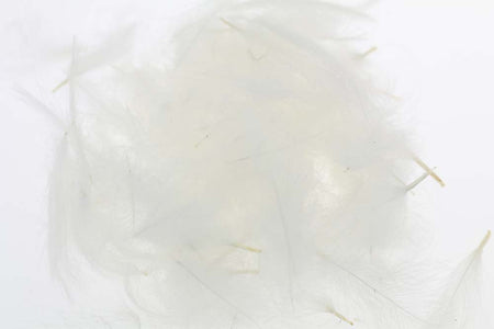 Du tilføjede <b><u>Select Cdc 1 Gramm - Weiß</u></b> til kurven.