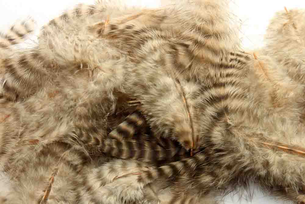 Soft hackles - Grizzly Tan