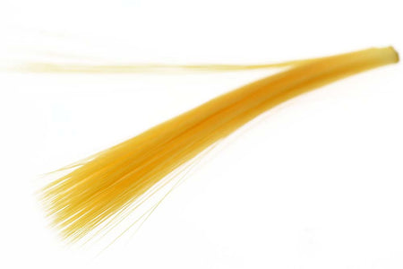 Du tilføjede <b><u>Fibetts Spinner Tails - Ginger (Sulph)</u></b> til kurven.