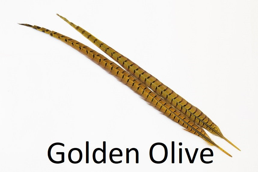 Fasanenschwanz, 1 Paar - Oliv