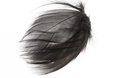 Du tilføjede <b><u>Stockente mit gebänderter Flanke - Schwarz</u></b> til kurven.