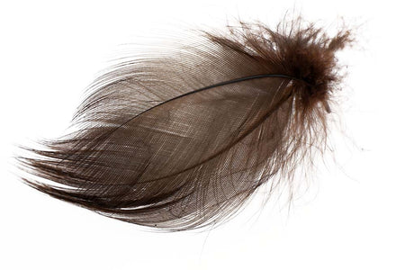 Du tilføjede <b><u>Stockente, gestreifte Flanke - Braun</u></b> til kurven.