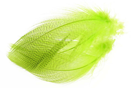 Du tilføjede <b><u>Stockente mit gebänderter Flanke - Fl. Chartreuse</u></b> til kurven.