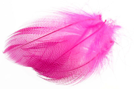 Du tilføjede <b><u>Stockente mit gebänderter Flanke - Fl. Rosa</u></b> til kurven.