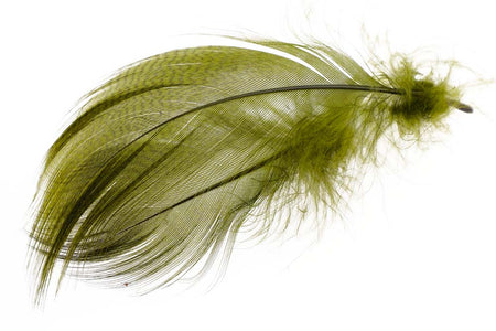 Du tilføjede <b><u>Stockente mit gebänderter Flanke - Olive</u></b> til kurven.