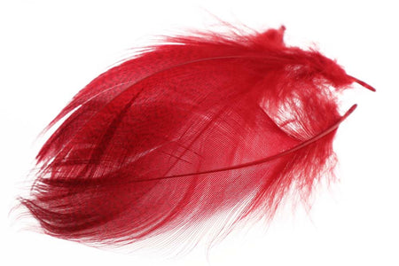 Du tilføjede <b><u>Stockente, gestreifte Flanke - Rot</u></b> til kurven.