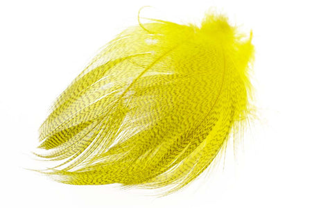 Du tilføjede <b><u>Stockente gebänderte Flanke - Eintagsfliegengelb</u></b> til kurven.