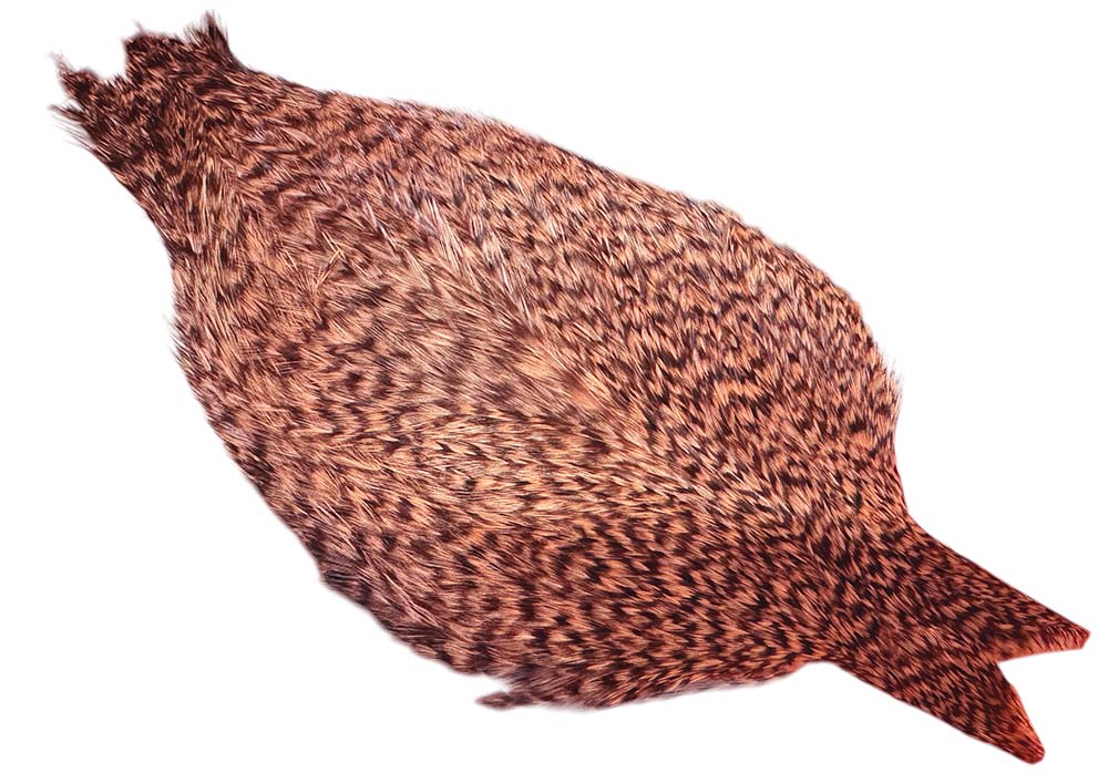 Whiting Coq De Leon - Grizzly gefärbter Lachs
