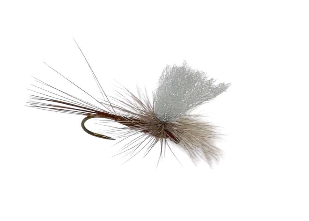 Baetis Rhodani Dun Str 12 – gebunden in DK