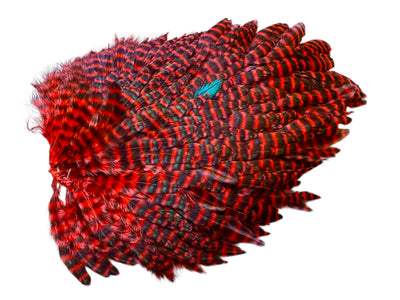 Du tilføjede <b><u>Futurefly FF Signature Hen Saddle - Red Grizzly</u></b> til kurven.