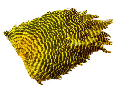 Du tilføjede <b><u>Futurefly FF Signature Hen Saddle - Yellow Grizzly</u></b> til kurven.
