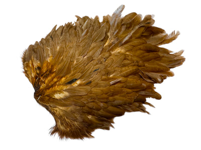 Du tilføjede <b><u>Futurefly FF Signature Hen Sattel - Braun/Coachman</u></b> til kurven.
