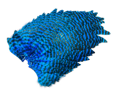 Du tilføjede <b><u>Futurefly FF Signature Hen Saddle - Grizzly Kingfisher Blue</u></b> til kurven.