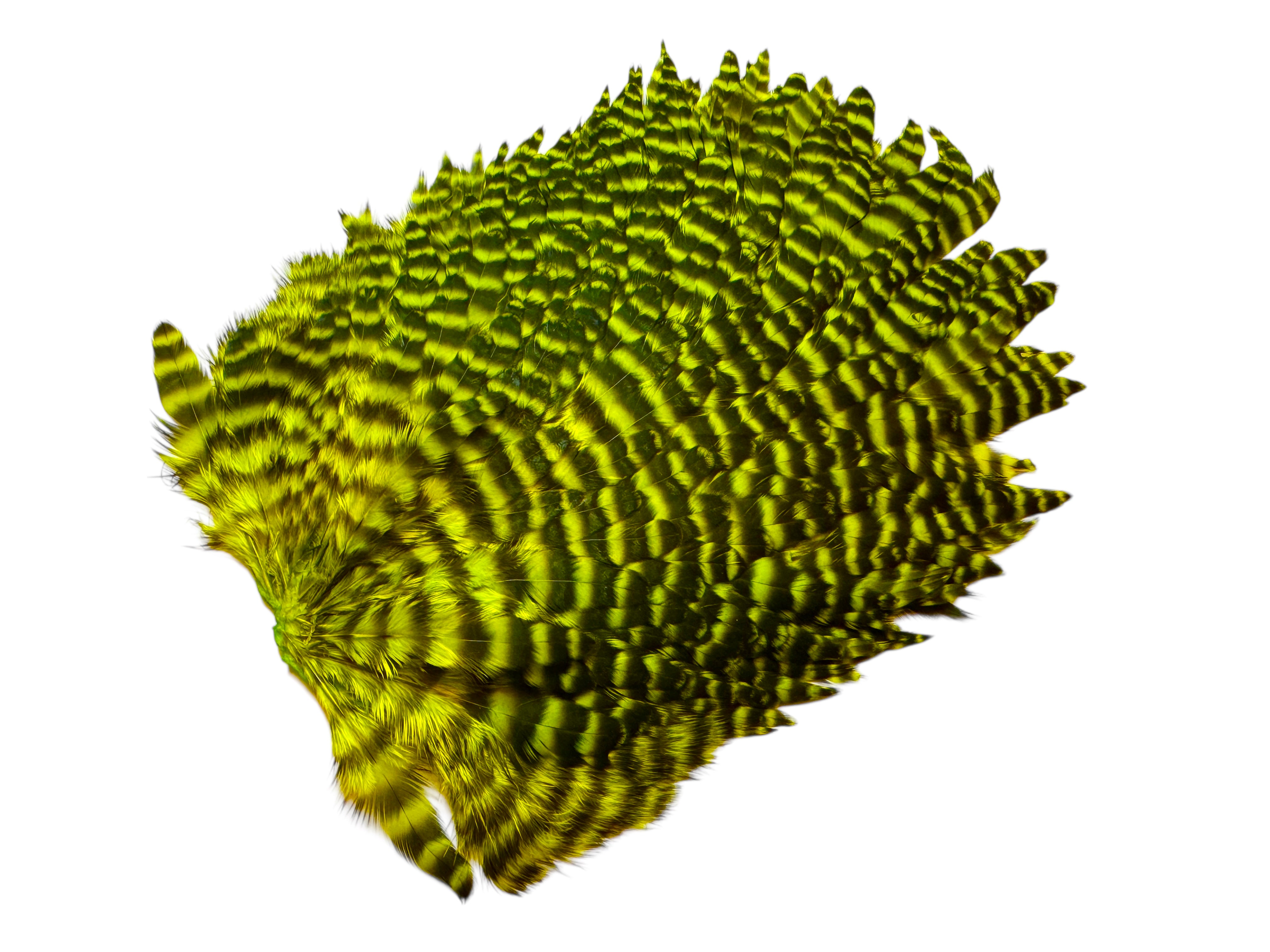 Futurefly FF Signature Hen Sattel - Chartreuse Grizzly