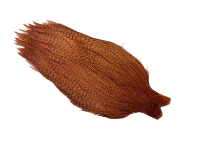 Du tilføjede <b><u>Ewing #1 Grizzly Cape, gebleicht und gefärbt, hellbraun</u></b> til kurven.