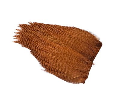 Du tilføjede <b><u>Ewing #1 Gebleichter hellbrauner Grizzly-Deceiver-Aufnäher</u></b> til kurven.