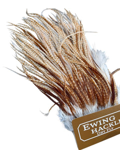 Du tilføjede <b><u>Ewing Special #1 unique Sadel - Ghost barred Ginger</u></b> til kurven.