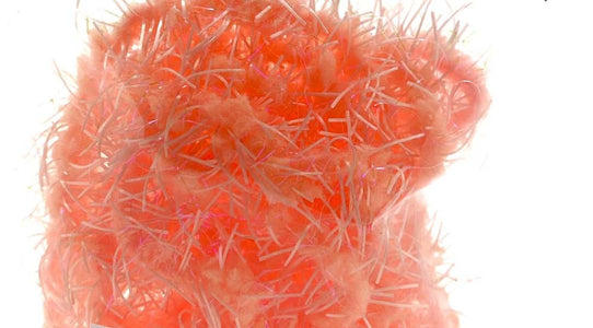 Du tilføjede <b><u>Creeper-Chenille – UV-Prawn</u></b> til kurven.