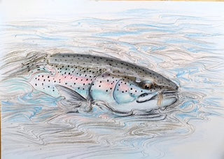 Du tilføjede <b><u>Thomas Weiergang Original A3 - Regenbogenforelle auf der Trockenfliege A3 </u></b> til kurven.