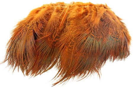 Du tilføjede <b><u>Halsbandfedern - Orange</u></b> til kurven.