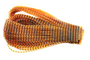Sili Legs Perfect Barred - Brown