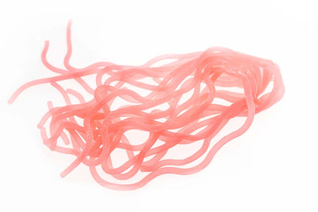 Du tilføjede <b><u>Sili Squirmy Wormy - Lachsrosa</u></b> til kurven.
