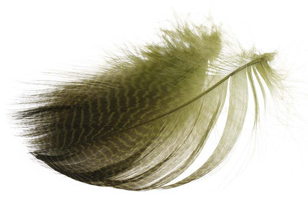 Du tilføjede <b><u>Teal Flankenfedern - Oliv</u></b> til kurven.
