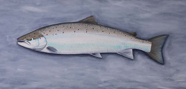 Du tilføjede <b><u>Thomas Weiergang – Doggerland-Lachs</u></b> til kurven.