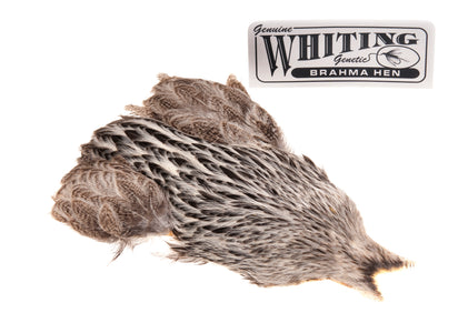 Du tilføjede <b><u>Whiting Brahma - Cream Badger</u></b> til kurven.