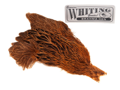 Du tilføjede <b><u>Whiteing Brahma - Goldbraun</u></b> til kurven.
