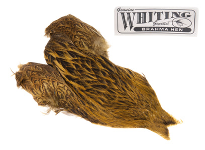Du tilføjede <b><u>Whiting Brahma - Goldene Olive</u></b> til kurven.