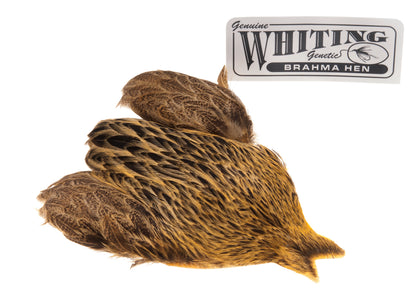 Du tilføjede <b><u>Whiting Brahma - Goldenes Stroh</u></b> til kurven.