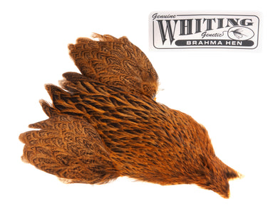 Du tilføjede <b><u>Whiting Brahma - March Brown</u></b> til kurven.