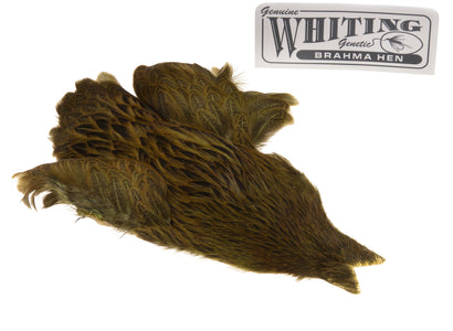 Du tilføjede <b><u>Whiting Brahma - Olive</u></b> til kurven.