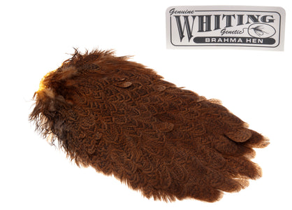 Du tilføjede <b><u>Whiting Brahma Sattel - Goldbraun</u></b> til kurven.