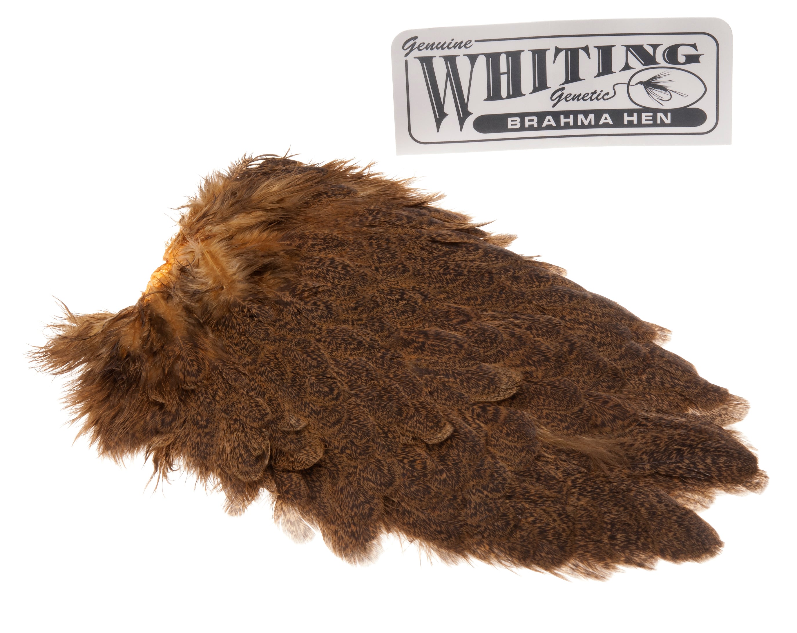 Whiting Brahma Saddle - March Brown