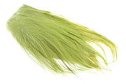 Whiting Bugger Pack - Olive