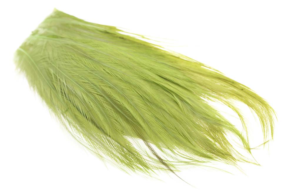 Whiting Bugger Pack - Olive