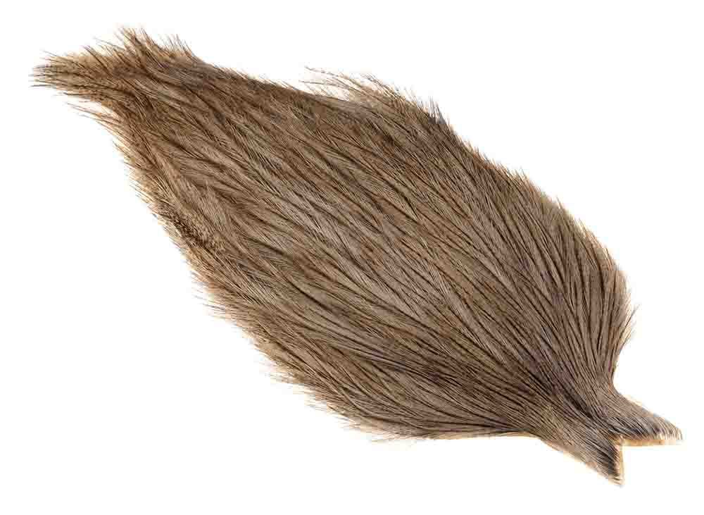 Whiting Coq de leon Cape - Medium Pardo