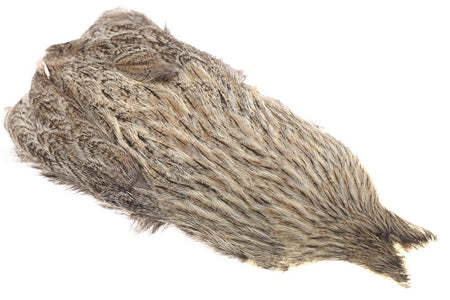 Du tilføjede <b><u>Whiting Coq de leon Hen Cape - Silbergesprenkelt</u></b> til kurven.