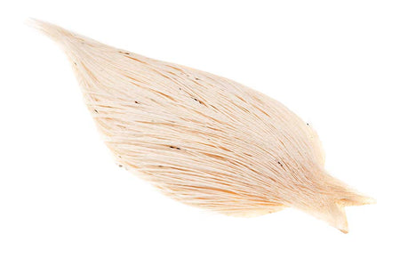 Du tilføjede <b><u>(Profi-Qualität) Whiting Red Label Trockenfliege – Weiß</u></b> til kurven.