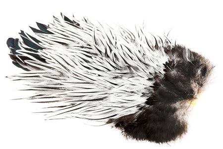 Du tilføjede <b><u>Whiting American Rooster Sattel - Silver Badger</u></b> til kurven.