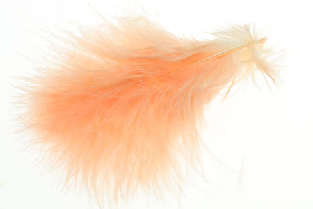 Du tilføjede <b><u>Wolly Bugger Marabou - Lachsrosa (Pfirsich)</u></b> til kurven.