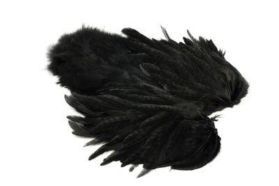 Du tilføjede <b><u>Whiting Rooster Softhackle W Chickabou SH/C - Schwarz</u></b> til kurven.