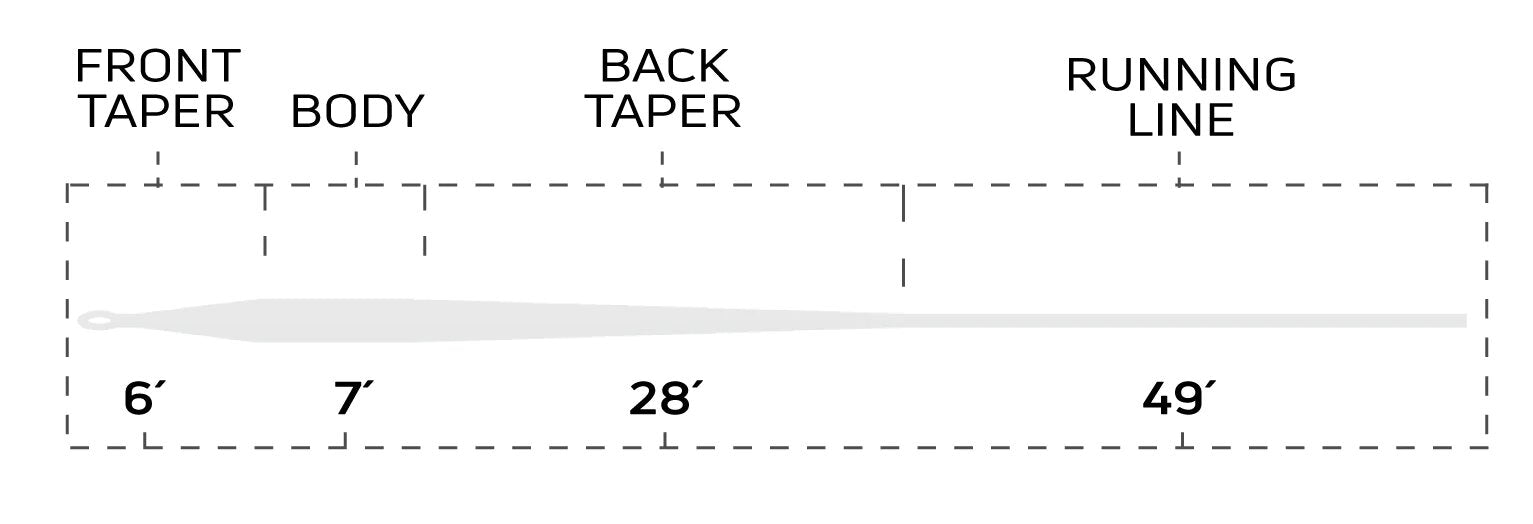 Cortland Clear - Intermediate