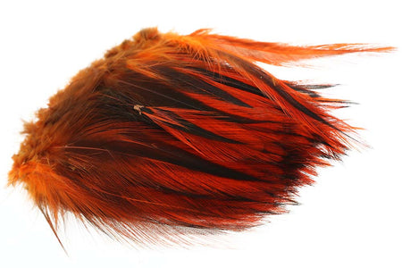 Du tilføjede <b><u>Rooster Hackler Badger - Gebranntes Orange</u></b> til kurven.