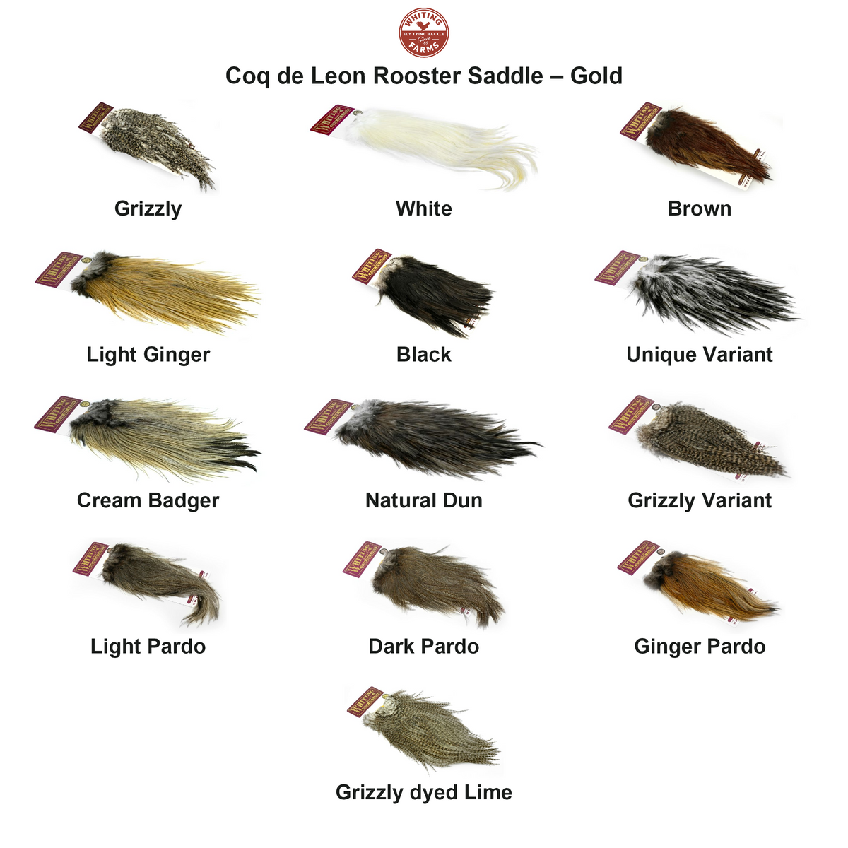 Farveoversigt – Whiting Coq de Leon Rooster Saddle – Gold