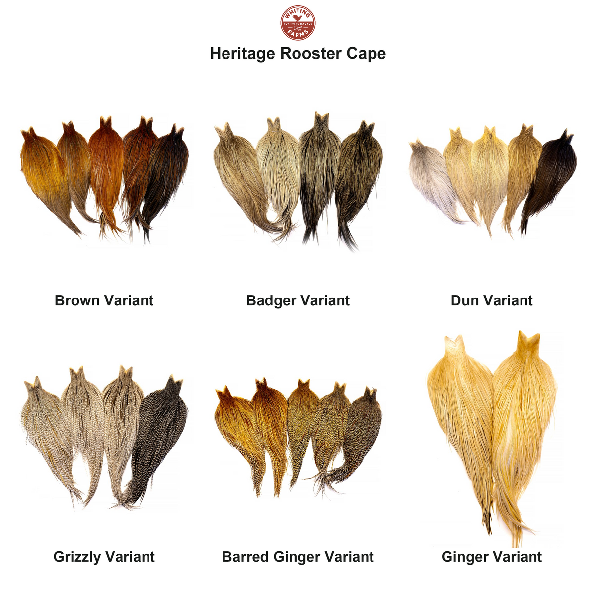 Farveoversigt – Whiting Heritage Rooster Cape